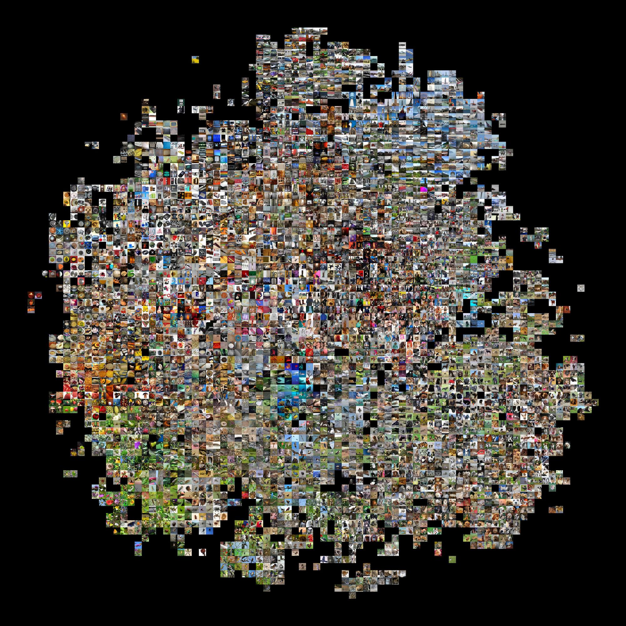 t-SNE CNN embed
